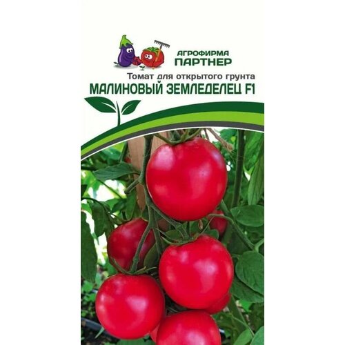 ���������� ����� ����� ��������� ���������� F1 ������ ������� (1 ��������-0,05 � �����)