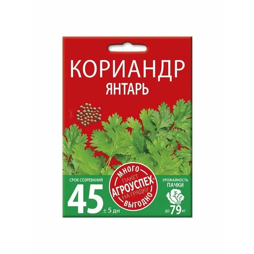 ���������� ������ ��������� ������ 25 �