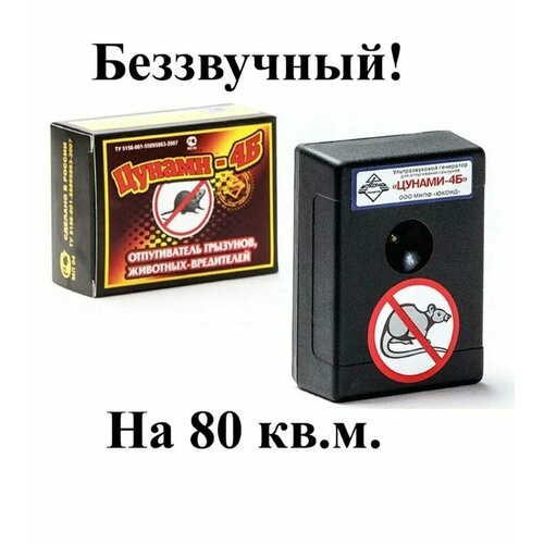 ���������� ������������ ���� � ����� ������ �� 80 M2 �� ��������� ��� ���������� �y�a��4�/Yuk�nd T�