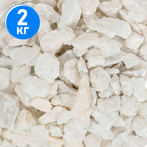 ���������� ����������� ����� ��� ��������, ����������� � ��������, Zoo One, ��������� ��������, 