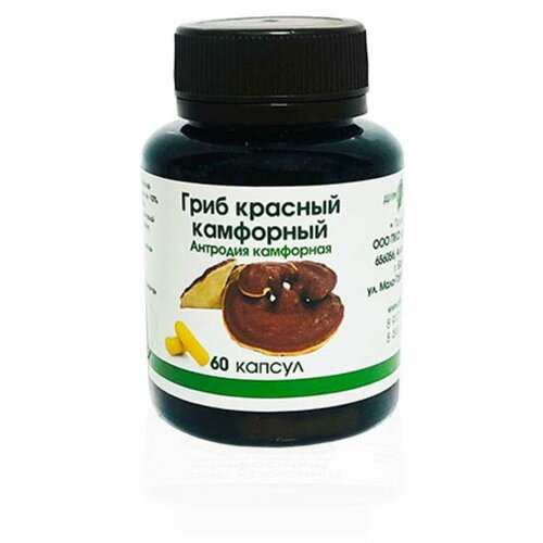 ���������� ������� ��������� ���� (�������� ���������) � �������� 60 ��