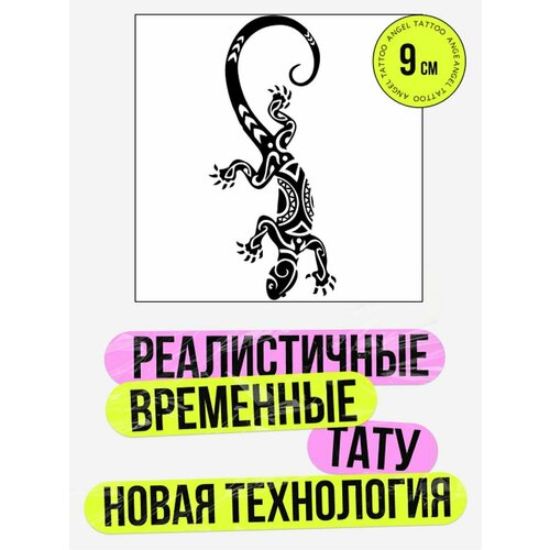 ���������� ���� ���������� �������������� �������� �������