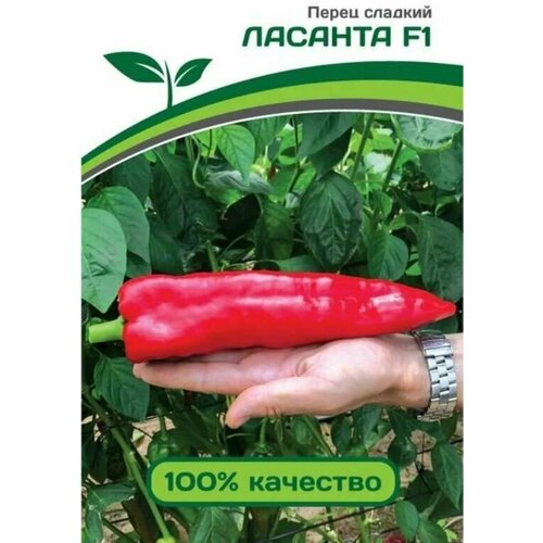 ���������� ������������� ������ ����� �������� ������� F1