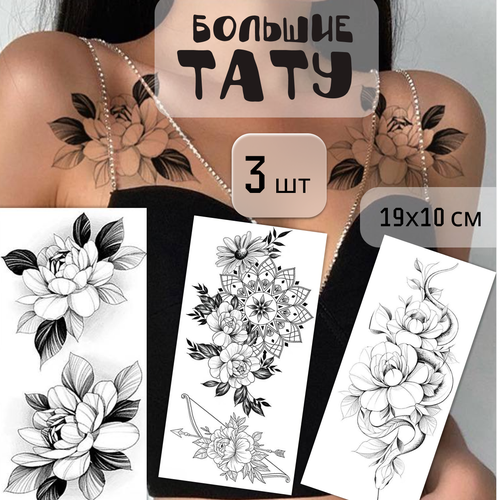 ���������� ����� ������� ���������� ���� 3 ����� (19�10 ��). ���������