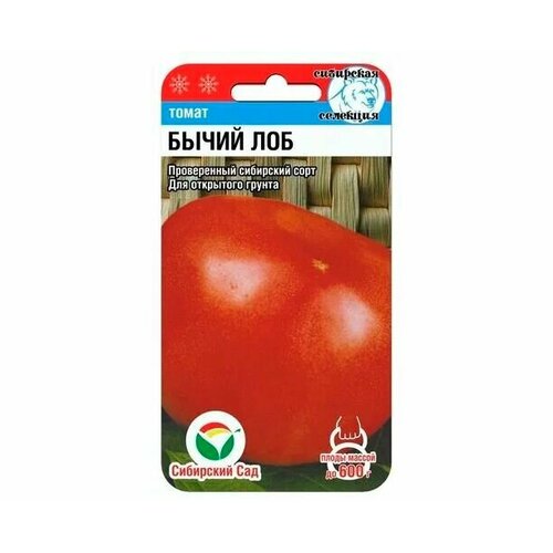 ���������� ������ ����� ����� ��� 20�� ����� (��������� ���)