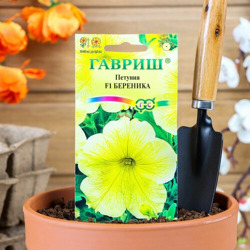 ���������� ������ ������ ������� 