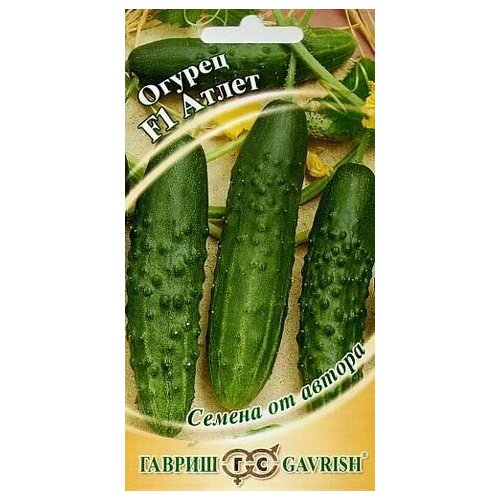 ���������� ������ ������ ����� F1 10 �� (�����) (������)