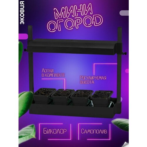 ���������� �������� ���� ������, ������