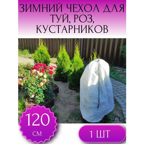 ���������� ������ ����� �� �������� ��� ��� � �������������, ��� ���, ��� ������ � �������� ������ 120*80 ��, 1 ��.