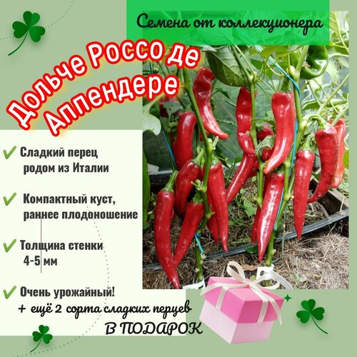 ���������� ����� ������� 