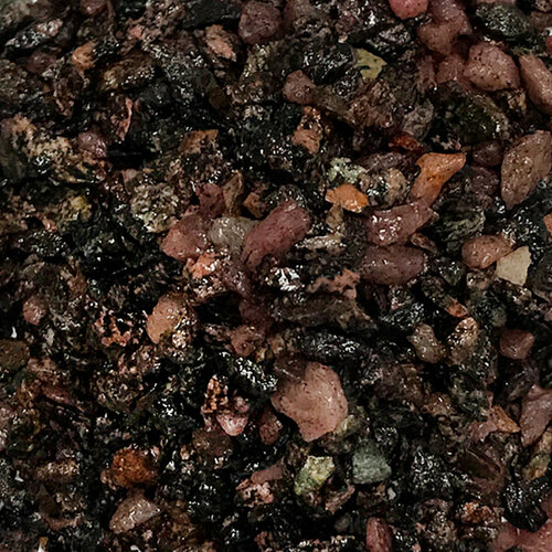 ���������� ����������� ����� ��� ��������, ����������� � ��������, Zoo One, ��������� ��������, 