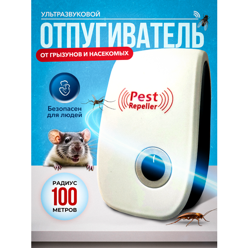 ���������� �������������� ������������ �������� � ���������, �����