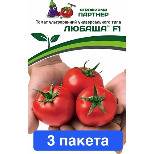 ���������� ������ ������ ��������� ������� 