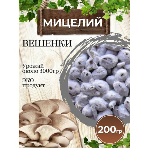 ���������� ������� ������� ��������������� ����� �17