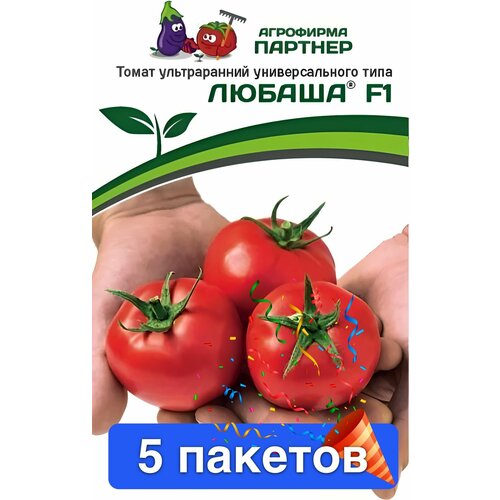 ���������� ������ ������ ��������� ������� 