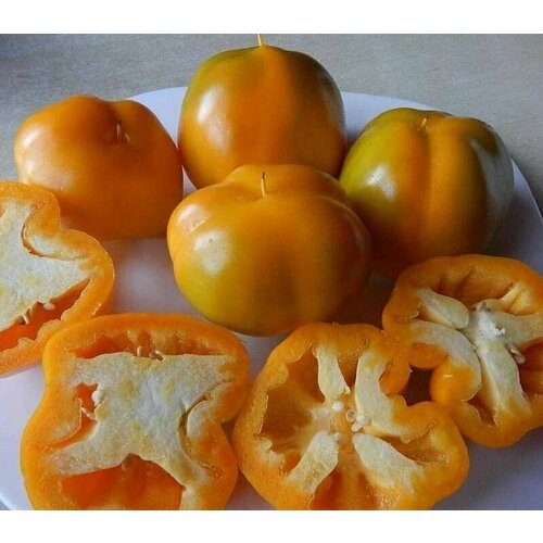 ���������� ������������� ������ ����� �������� ������� ���������