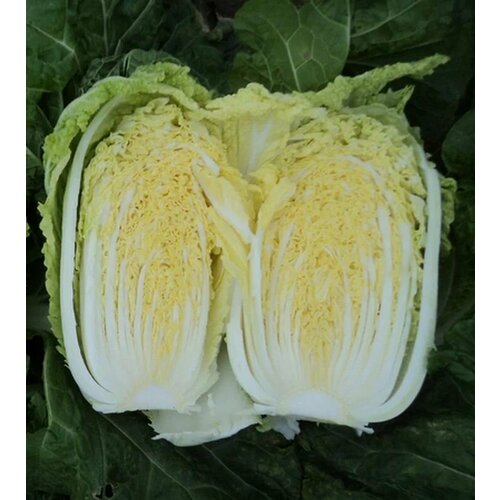 ���������� ������������� ������ ������� ��������� �����