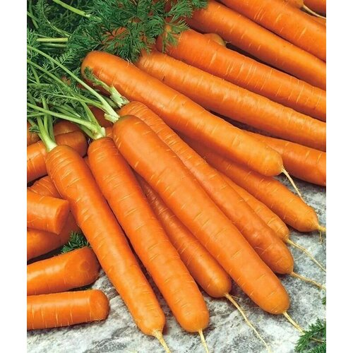 ���������� ������������� ������ ������� ������� ������