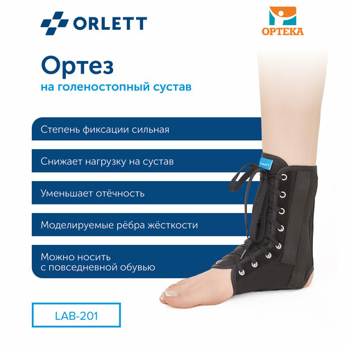 Orlett     LAB-201,  XL,    , -, 