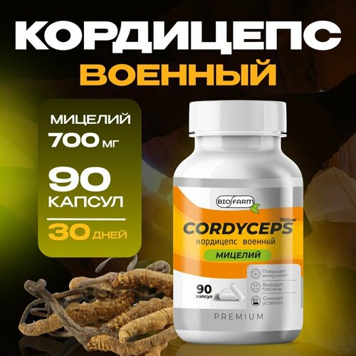 ���������� ��������� ������� � �������� 700��, �������� ��� ���������� � ������