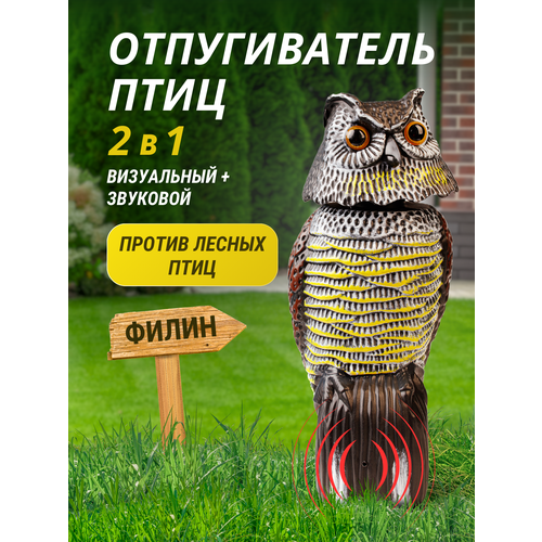 ���������� ������������ ���� ����������+�������� �����