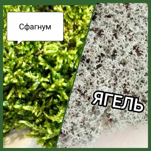 ���������� 2 ���� ���. ����� + �������. �����������. ������.