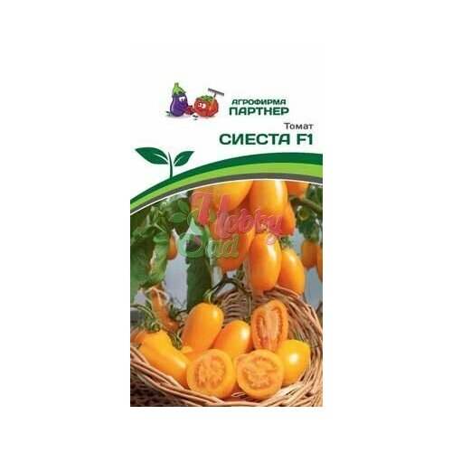 ���������� ������ ������ 