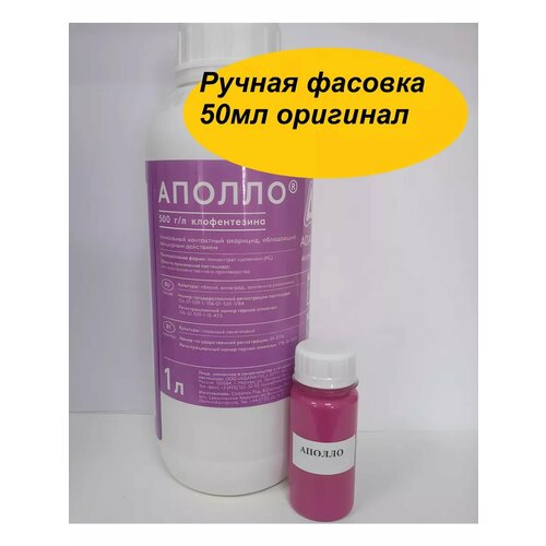 ���������� ������ 50�� �� �����