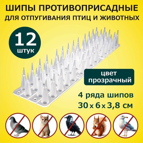 ���������� ���� ���������������� ��� ������ �� ���� � �������� 300�60�38 �� �������� 12 ������, �������, ��� ������