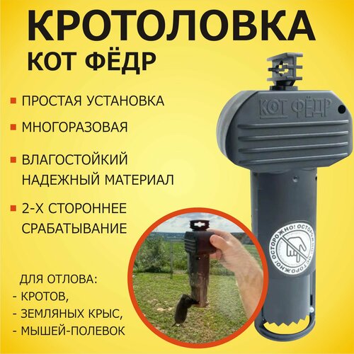 ���������� ���������� (������� ��� ������, �������, �������� ����) ��� �����