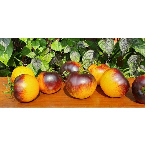 ���������� ������ ������ ����������� ���� (Ussuri Tiger) / Seeds And Goods / � �������� zip-lock ��� ���������� 10 �����