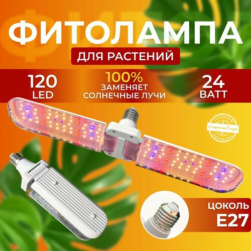           ,   120 LED 24    , -, 