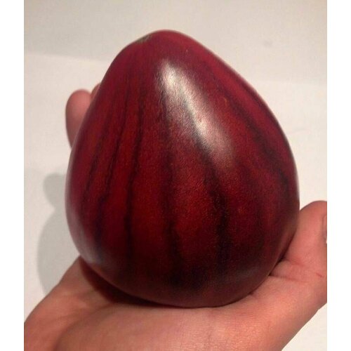 ���������� ������������� ������ ������ ��� 5