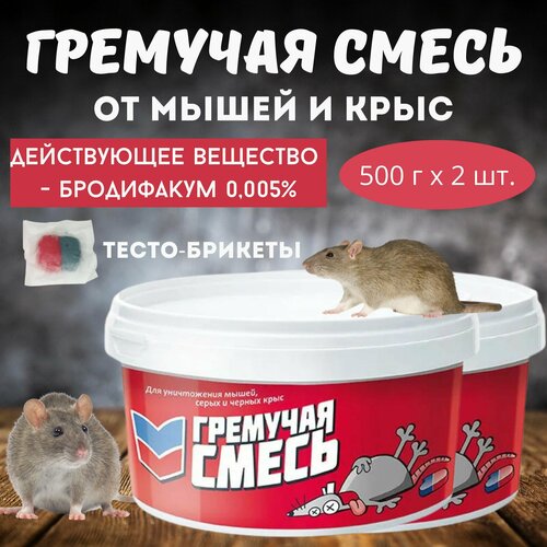 ���������� �������� ��� ����������� ����� � ���� �������� �����, ���� �����-�������, 2 ��. * 500 �