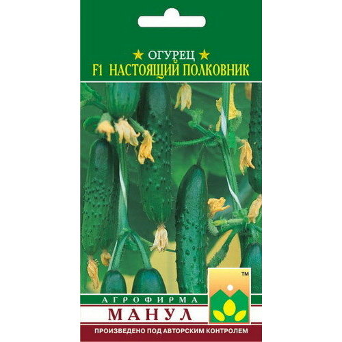 ���������� ������ ������� ��������� ��������� 10 ����� � �����