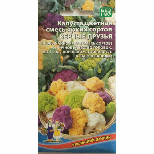 ���������� ������ ������� ������� ������ ������ ����� ����� ������ 0.25� (��������� ������)