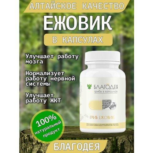 ���������� ������ � �������� 