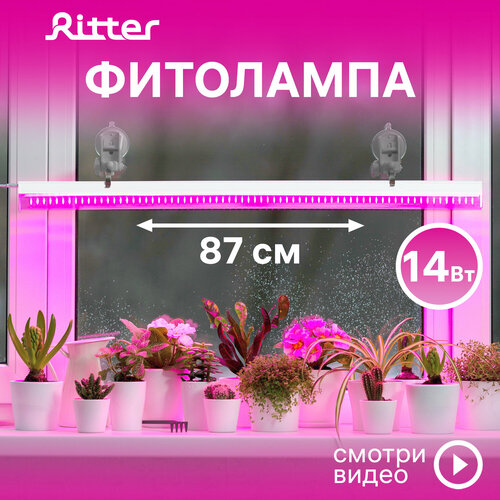     5 Ritter PLANTA, 14, 8802334,  2,   ,  ,    ,    , 56297 9   , -, 