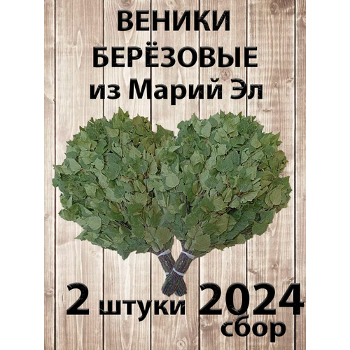     2   ,  2024    , -, 