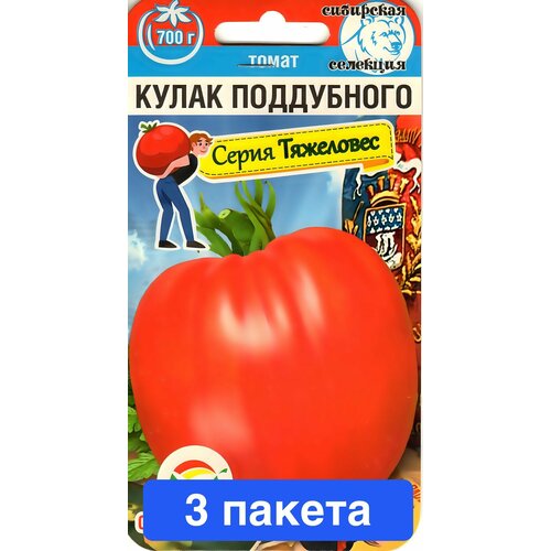 ���������� ������ ������ ��������� ��� 