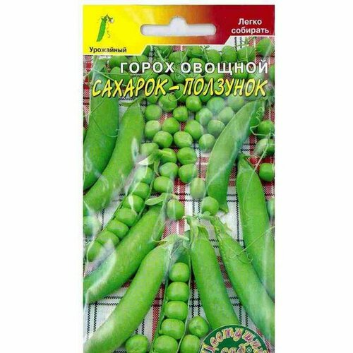 ���������� ������ ����� �������-�������� �������� (�������� ���) 5�