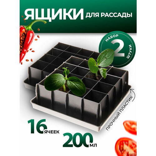 ���������� ���� ��� ������� � �������� ��������� 16 ������ 0,2� 2 ��