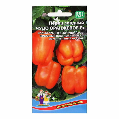 ���������� ������ ����� 