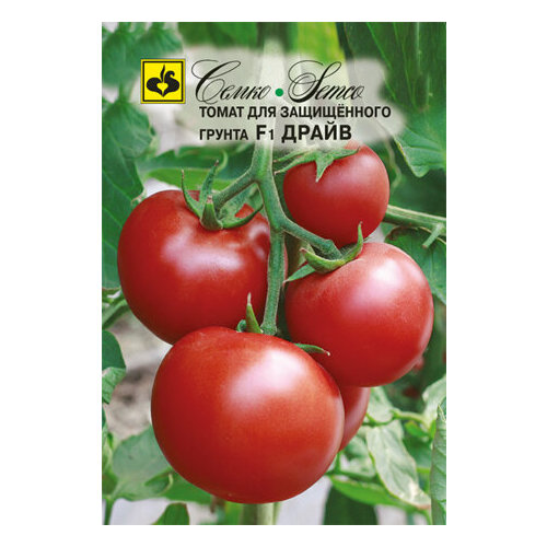 ���������� ������ ����� ����� F1 5�� ����� ������ (�����)