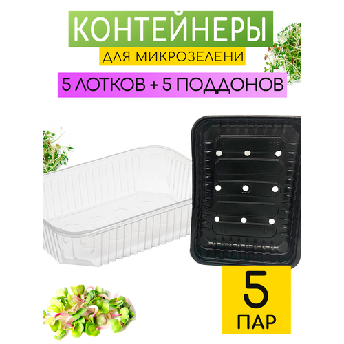 ���������� ������� ����� ��� ����������� ����������� � �������