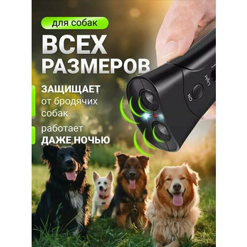 ���������� ������������ ����� ��������������.