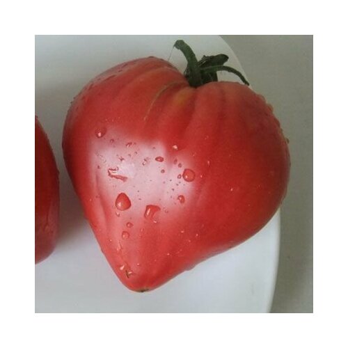 ���������� ������������� ������ ������ ���������� �������� ������ �������