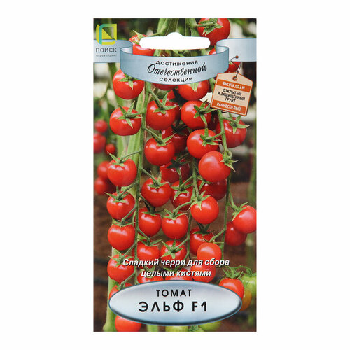 ���������� ������ ����� ���� F1 ����� 12�� ����� ������ (�����)