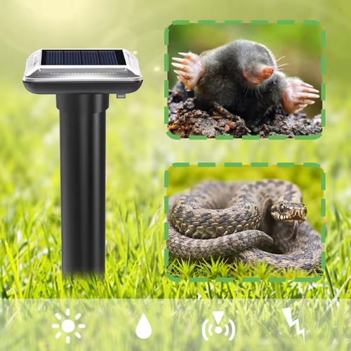 ���������� �������������� ������������ �����, ������, ���� �� ��������� ������� SJZ038