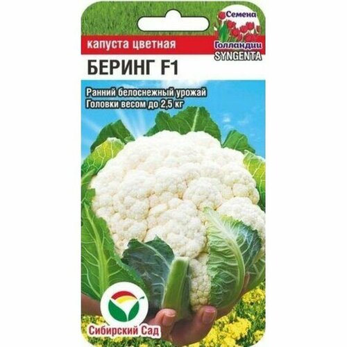 ���������� ������ ������� ������� ������ F1 (�����������) (��������� ���) 10��